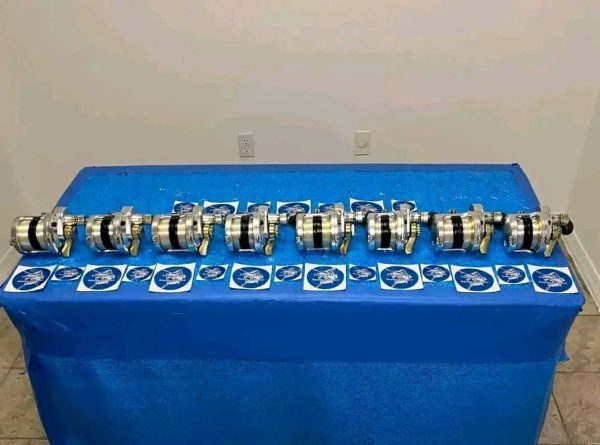 8 Talicas in total, 4 20’s and 4 25’s - Image 2