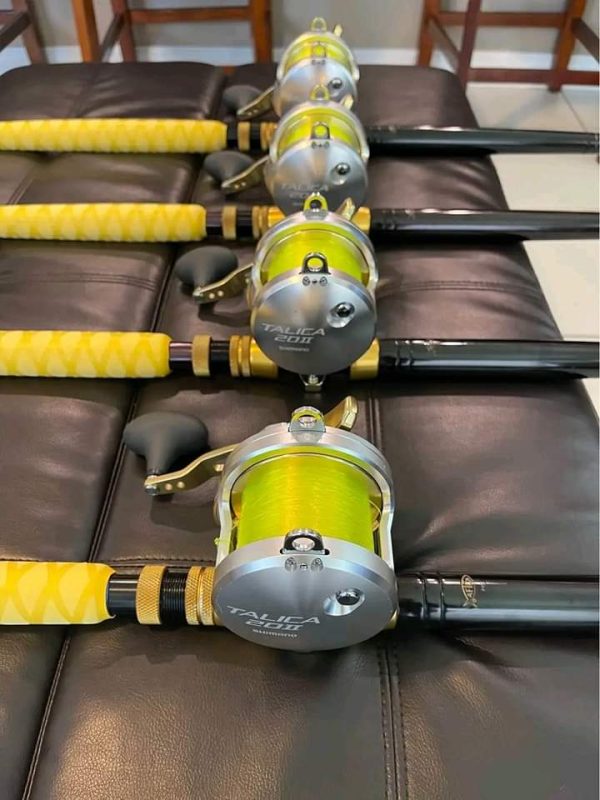 4 New Shimano Talica 20II 2 Speed reel with rods - Image 2